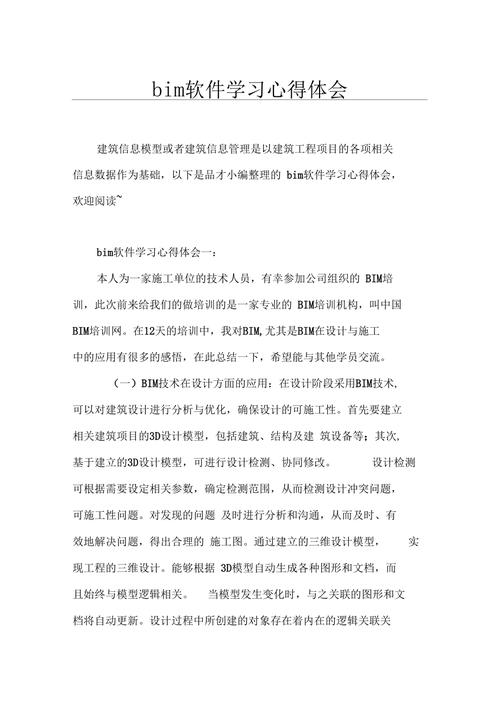 800字的BIM總結報告