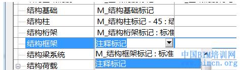 Revit在復制特定標記時遇到問題
