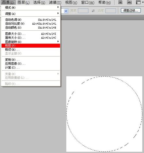 如何使用PS輕松裁剪圓形？ - BIM,Reivt中文網